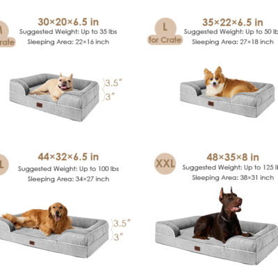 Dog Couch Bed in Different Sizes